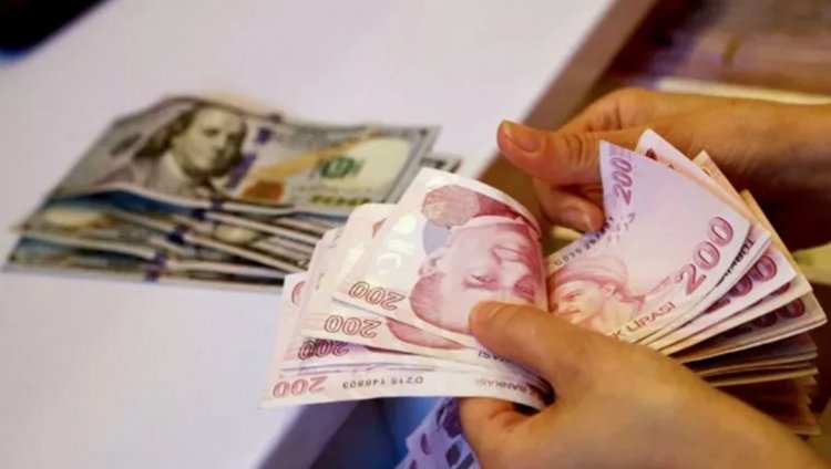 Dövize Dayalı TL Mevduat Düzenlemesinin Detaylarını Hazine ve Maliye Bakanlığı Açıkladı