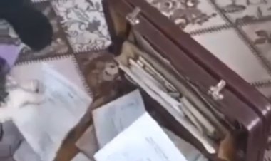 Van'da Tefecilere Operasyon Düzenlendi