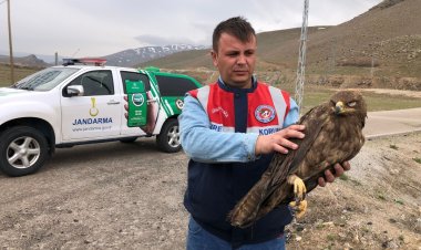 VAN'IN ÇALDIRAN İLÇESİNDE YARARLI HALDE BİR KARTAL BULUNDU!