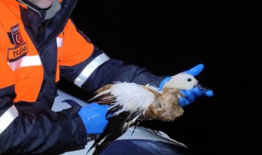 VAN'DA DEVRİYE SIRASINDA JANDARMA EKİPLERİ YARALI ÖRDEK BULDU!