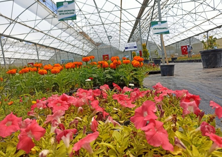 VAN'IN EDREMİT İLÇESİNDE TÜNEL SERALAR AÇILIŞI YAPILDI