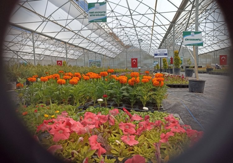 VAN'IN EDREMİT İLÇESİNDE TÜNEL SERALAR AÇILIŞI YAPILDI