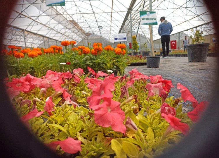 VAN'IN EDREMİT İLÇESİNDE TÜNEL SERALAR AÇILIŞI YAPILDI