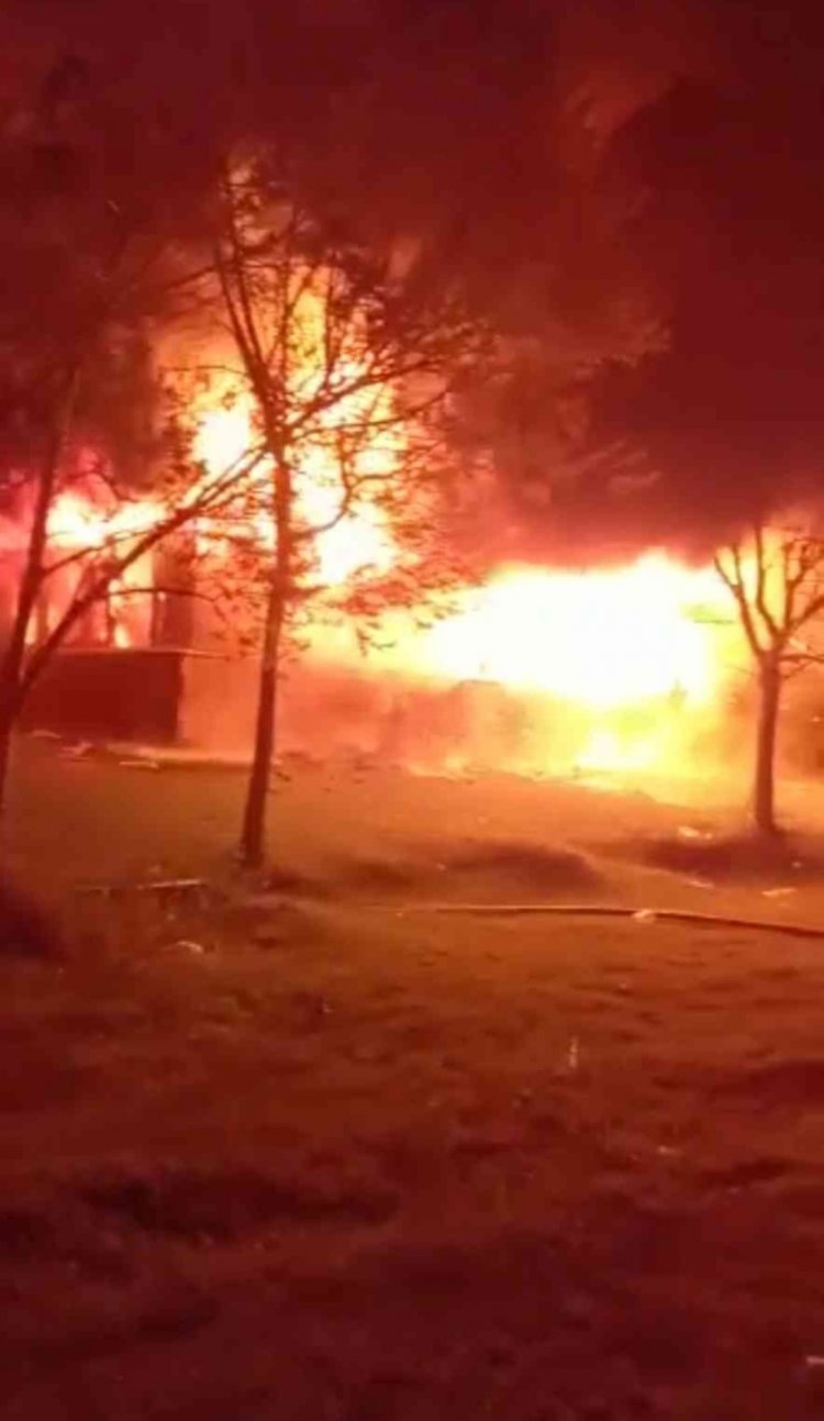 VANGÖLÜ SAHİLİNDE YANGIN ÇIKTI!