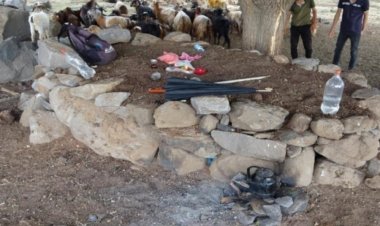 DİYARBAKIR'DA KAHVALTI YAPMAK İÇİN AĞAÇ ALTINA SIĞINAN 6 ÇOBANA YILDIRIM DÜŞTÜ!