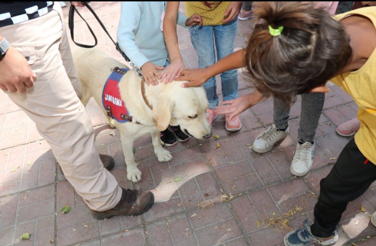 İŞİTMEYEN KULAK DEĞİL KALPTİR