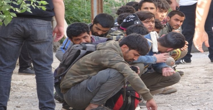 VAN'DA 7 GÜN İÇERİSİNDE 915 KAÇAK GÖÇMEN VE 17 ORGANİZATÖR YAKALANDI!