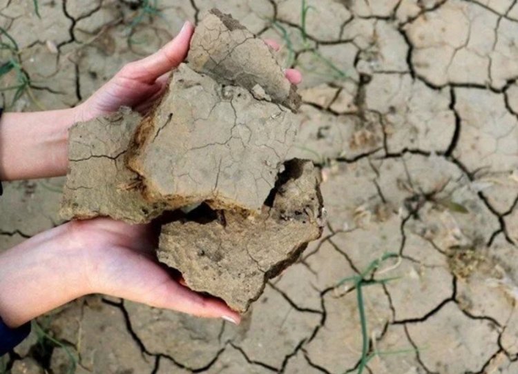 HAYATIMIZI CİDDİ ANLAMDA DEĞİŞTİRECEK KURAKLIK RİSKİ 