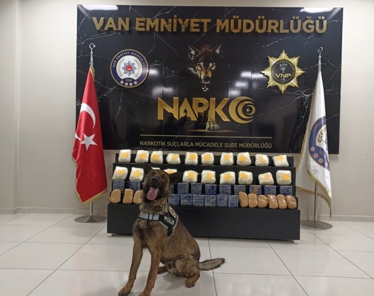 VAN'DA NARKOTİK DEDEKTÖR KÖPEĞİ JUNO 37 KİLO 600 GRAM UYUŞTURUCU MADDE TESPİT ETTİ!