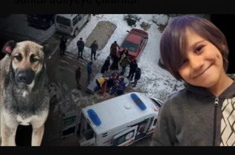 VAN'DA BİR ÇOCUĞUN ÖLÜMÜNE NEDEN OLAN KÖPEĞİN SAHİBİ TUTUKLANDI!