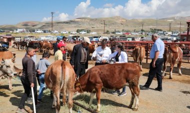 BÜYÜKŞEHİR İL GENELİ CANLI HAYVAN PAZARINDA BİLGİLENDİRMELERDE BULUNDU