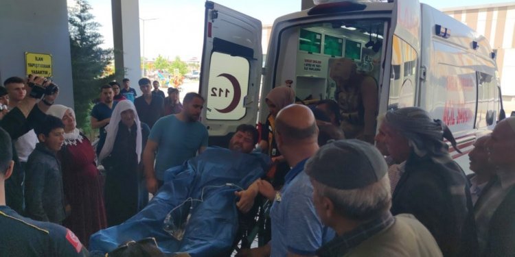 VAN'DA HAYVAN OTLATMA YÜZÜNDEN KAVGA ÇIKTI: 4 KİŞİ YARALANDI!