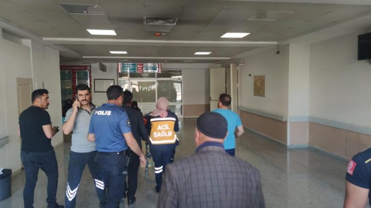 VAN'DA HAYVAN OTLATMA YÜZÜNDEN KAVGA ÇIKTI: 4 KİŞİ YARALANDI!