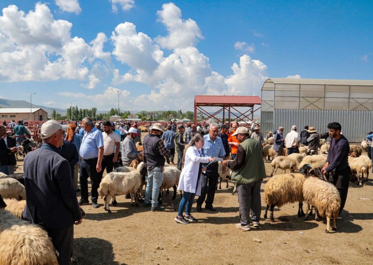 BÜYÜKŞEHİR İL GENELİ CANLI HAYVAN PAZARINDA BİLGİLENDİRMELERDE BULUNDU