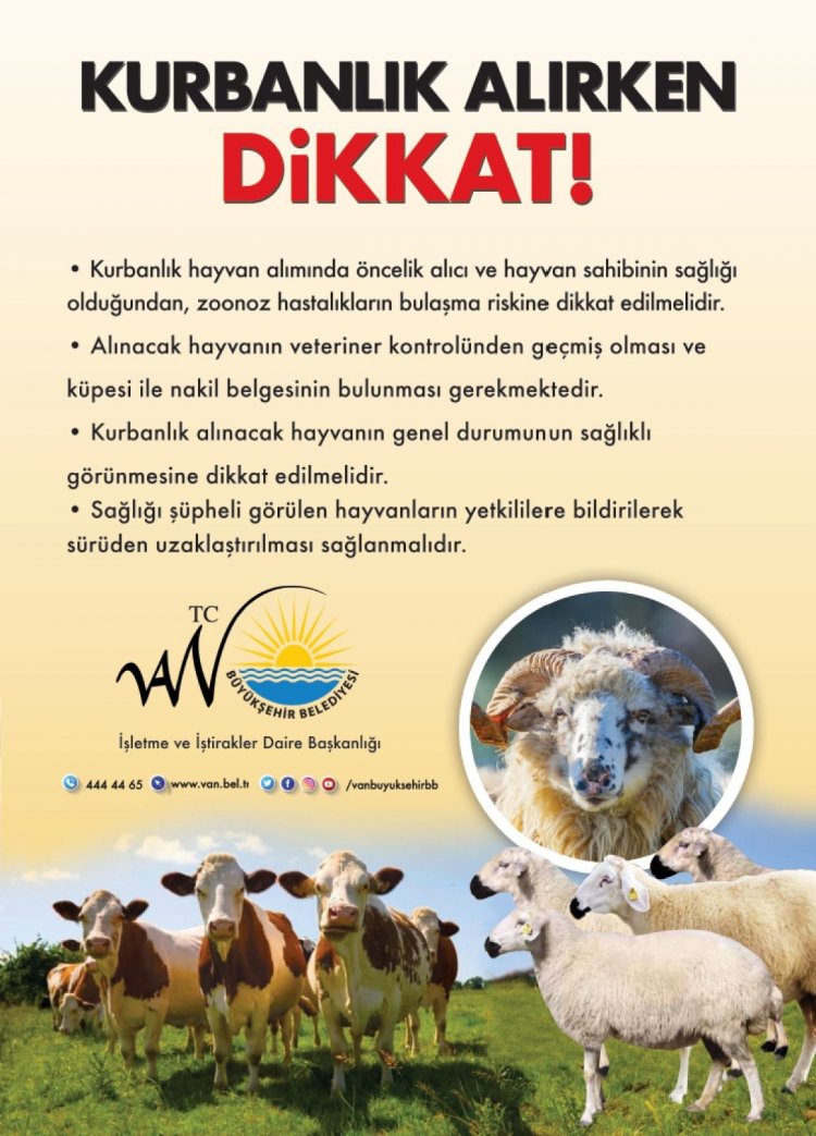 BÜYÜKŞEHİR İL GENELİ CANLI HAYVAN PAZARINDA BİLGİLENDİRMELERDE BULUNDU