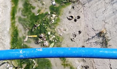 URARTU MİRASI TARİHİ KANAL, YOSUN VE ÇAMUR ÇÖPLÜĞÜNE DÖNDÜ!