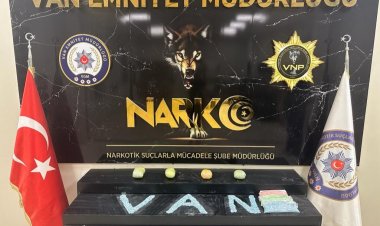 VAN'DA 1 ŞAHIS 20 BİN EXTACY HAP İLE YAKALANDI