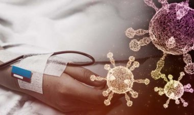 KABUS GERİ Mİ DÖNDÜ?, YENİ VİRÜS TÜRKİYE'DE...!