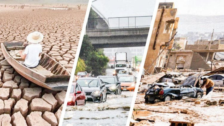 GIDA FİYATLARI UÇACAK! SÜPER EL NİNO GELİYOR...