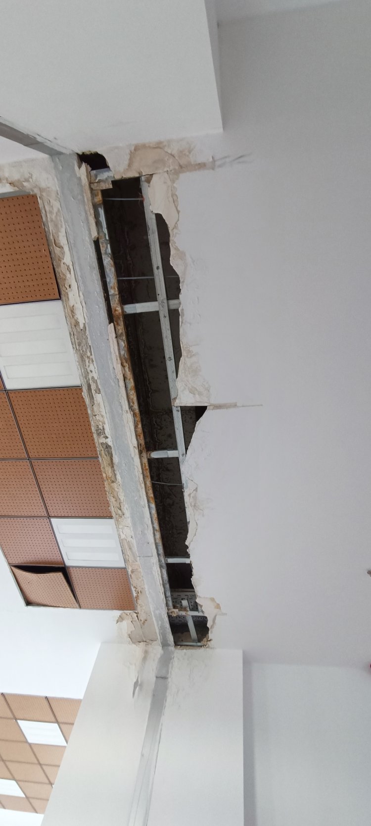 VAN YÜZÜNCÜ YIL ÜNİVERSİTESİ'NDE KÜTÜPHANE SORUNUNA ÇÖP KOVALI ÇÖZÜM!