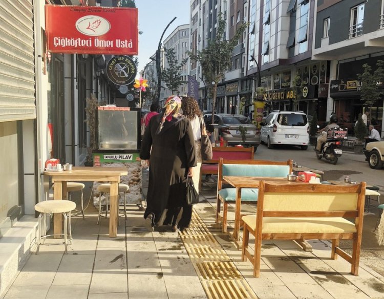 VANLILAR NEDEN YOL ORTASINDAN YÜRÜYOR!