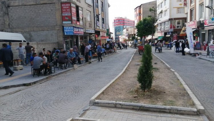 VANLILAR NEDEN YOLUN ORTASINDA YÜRÜYOR SORUSUNUN CEVABI BULUNDU!