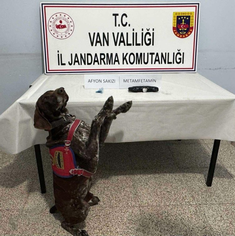 VAN'DA JANDARMA BİNLERCE KAÇAK SİGARA ELE GEÇİRDİ