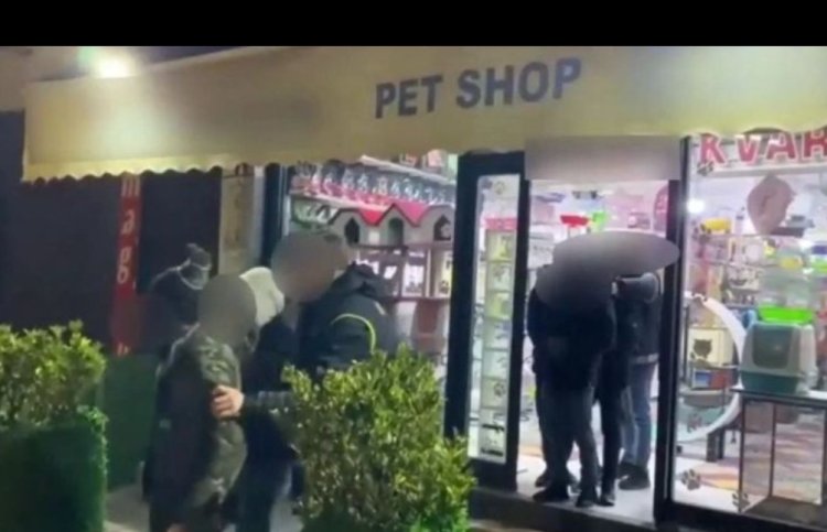 PET SHOP'LAR, VAN'DA GÖÇMEN KAÇAKÇILIĞI YAPANLARDAN...