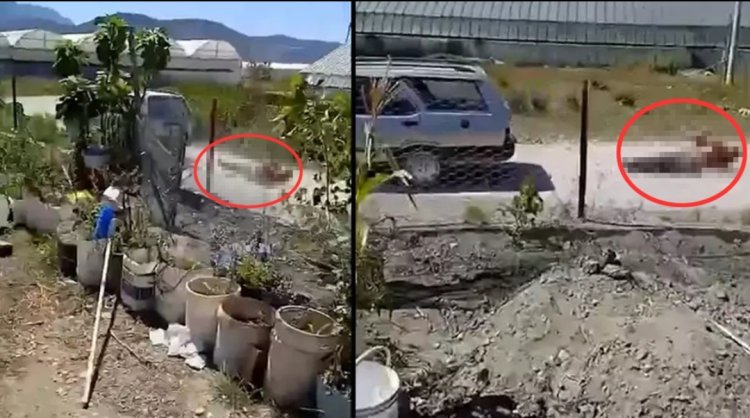 ANTALYA'DA KÖPEK YÜZÜNDEN ÇIKAN KAVGA SONUCU KOMŞUSUNU ARACIN ARKASINDAN SÜRÜKLEDİ 