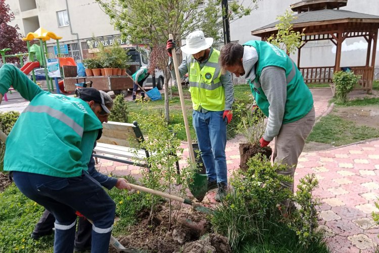 DAHA YEŞİL BİR İPEKYOLU İLÇESİ İÇİN PARKLAR YAZA HAZIRLANIYOR