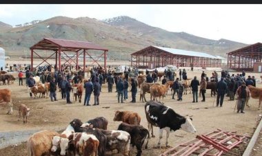 VAN'DA KURBAN KESİM YERLERİ BELLİ OLDU 