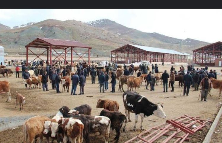 VAN'DA KURBAN KESİM YERLERİ BELLİ OLDU 