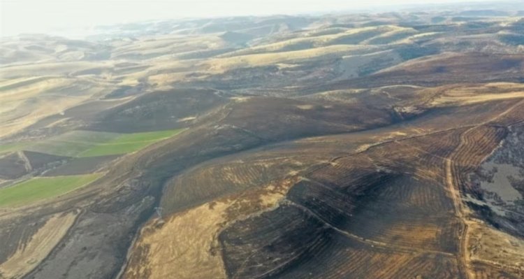 DİYARBAKIR VE MARDİN ANIZ YANGININDA HAYATINI KAYBEDENLERİN SAYISI 11 YÜKSELDİ!