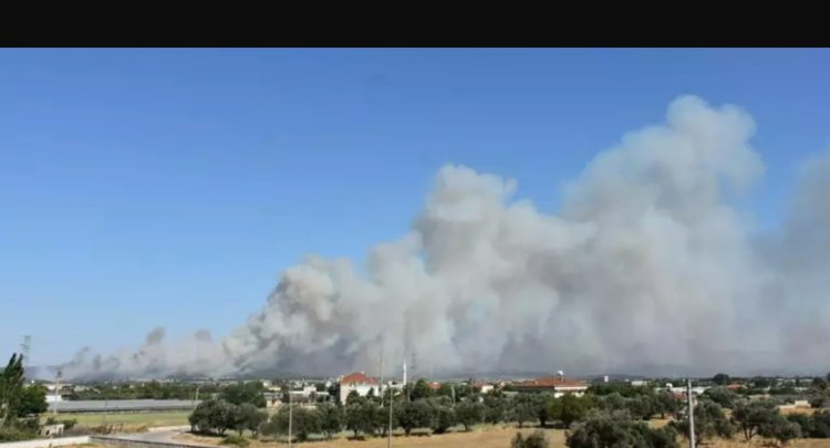 İZMİR'DE ORMAN YANGINI: JANDARMA ANONSLA EVLERİ BOŞALTIRIYOR