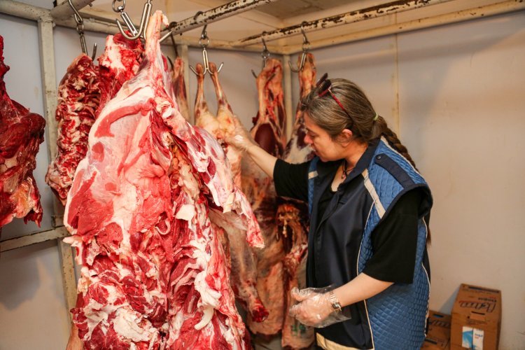 VAN BÜYÜKŞEHİR VATANDAŞLARIN SAĞLIKLI VE GÜVENLİ GIDAYA ULAŞMASI İÇİN DENETİMLERİNİ SÜRDÜRÜYOR! 