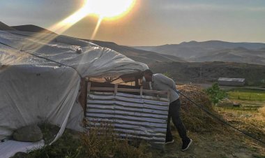 BÜYÜKŞEHİR, BİT VE PİRE İSTİLASINA UĞRAYAN İKİ İLÇENİN İMDADINA YETİŞTİ