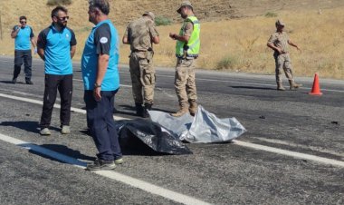 VAN-ERCİŞ YOLUNDA FECİ KAZA: 2 ÖLÜ, 4 YARALI