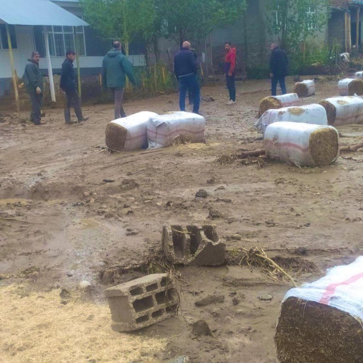 VAN'IN SARAY İLÇESİNDE ETKİLİ OLAN YAĞIŞ SELE NEDEN OLDU