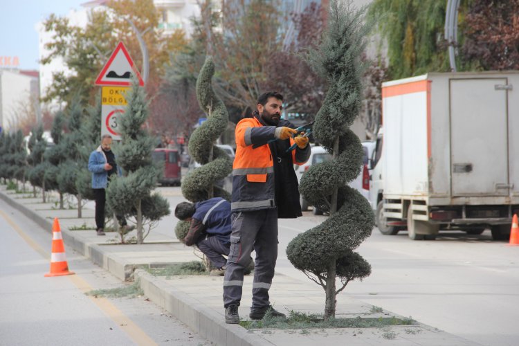 VAN BÜYÜKŞEHİR BELEDİYESİ’NDEN KUAFÖRLER GİBİ BUDAMA