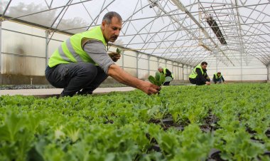 VAN BÜYÜKŞEHİR EKSİ(-) 10⁰'DE KENDİ ÇİÇEK ÜRETİMİNİ GERÇEKLEŞTİRİYOR