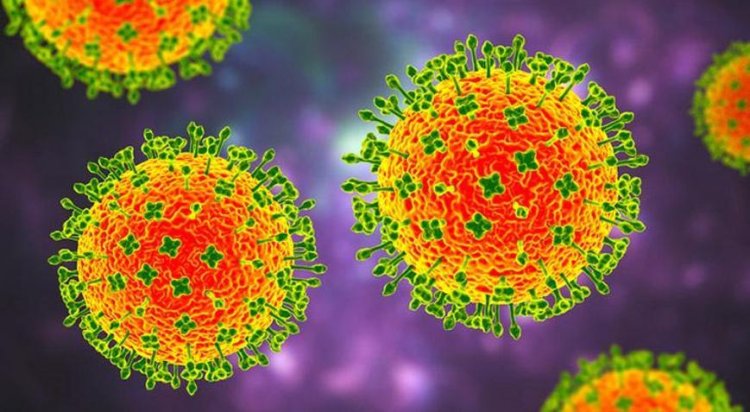 GİZEMLİ VİRÜSÜN ADI HMPV