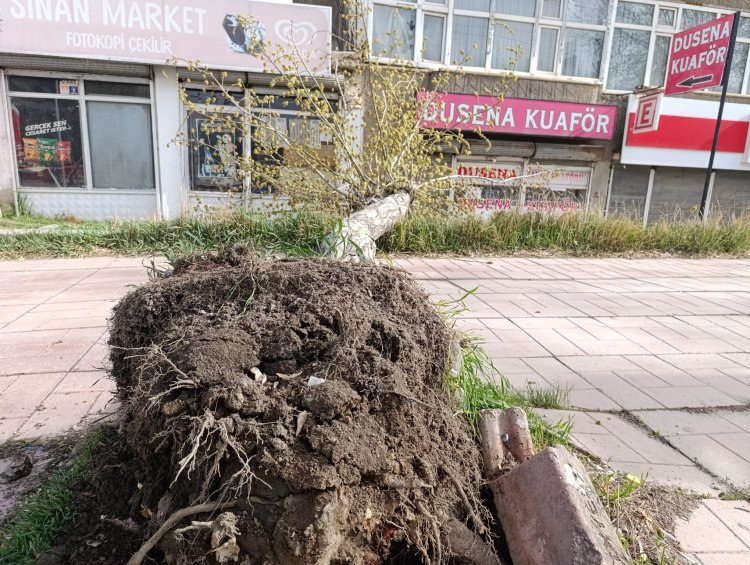 Van'da Fırtına Hayatı Felç Etti: Çatılar Uçtu, Elektrikler Kesildi...
