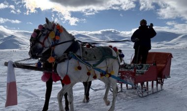 Buzun Üstünde Adrenalin: Çıldır Gölü’nde Atlı Kızak Safarisi Başladı!
