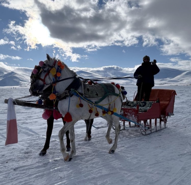 Buzun Üstünde Adrenalin: Çıldır Gölü’nde Atlı Kızak Safarisi Başladı!