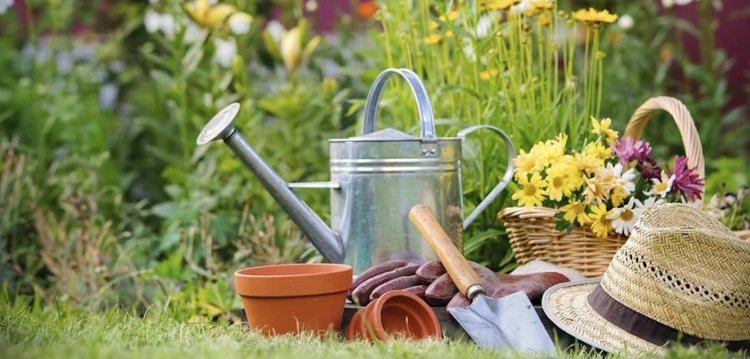 Hobi Bahçelerinde "Kaçak Abonelik" Dönemi Kapandı: Cezası Dudak Uçuklatıyor!