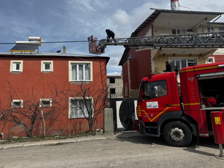 Edremit’te çatıda mahsur kalan yavru kedi için seferberlik