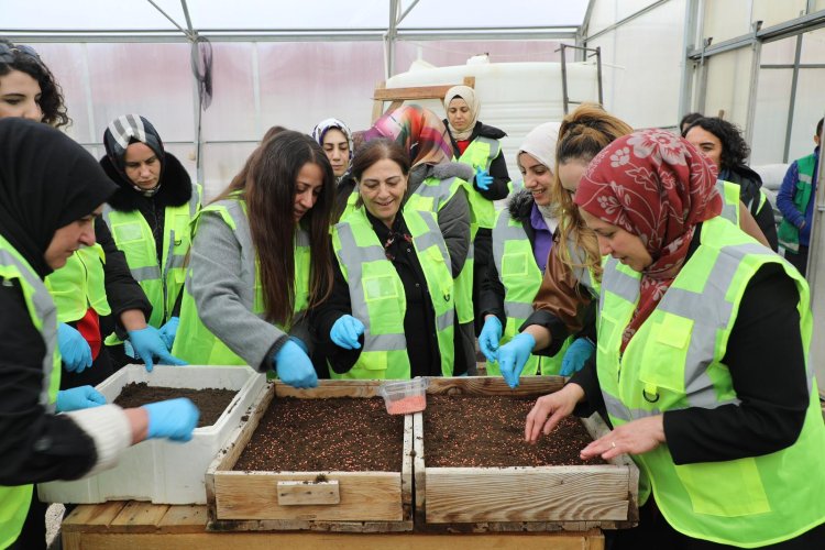Tuşba’da Kadın Eliyle Yeni Bir Yaşam: Tohumlar Toprakla Buluştu