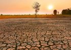 Bu Yaz Türkiye’de Süper El Nino Etkisi Bekleniyor: Temmu ve Ağustos’ta İstanbul’da 40 Derece