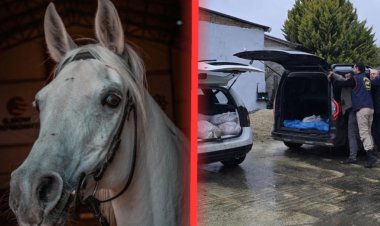 İstanbul'da 306 Kilo At Eti Ele Geçirildi: 3 Gözaltı