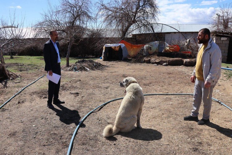 Tuşba Belediyesi’nden Sahipsiz Köpekler İçin ‘Kayıtlı Çözüm: Kırsalda Tespit ve Kısırlaştırma Seferberliği
